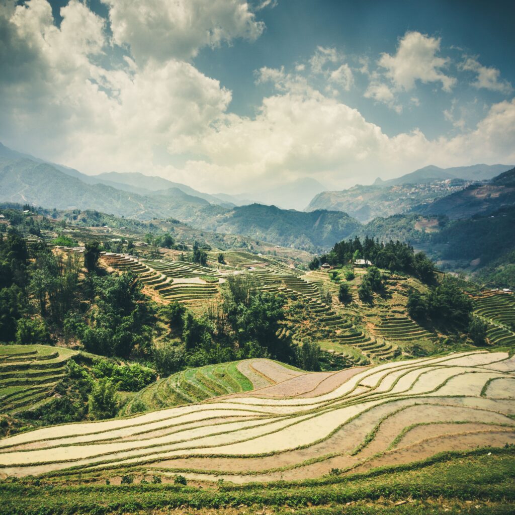 Explore the breathtaking terraced rice fields of Lào Cai, Vietnam under a vibrant sky.